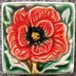 Poppy by Verdant Tile