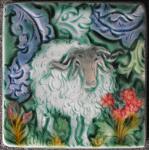 French Sheep. Copyright Verdant.